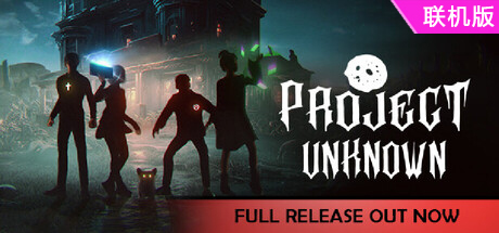 未知项目/Project Unknown/支持网络联机