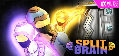 裂脑/Split Brain/支持网络联机