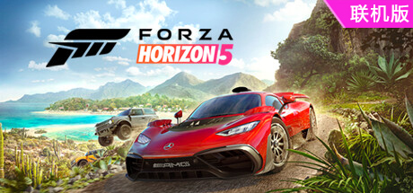 极限竞速：地平线5/Forza Horizon 5/支持网络联机